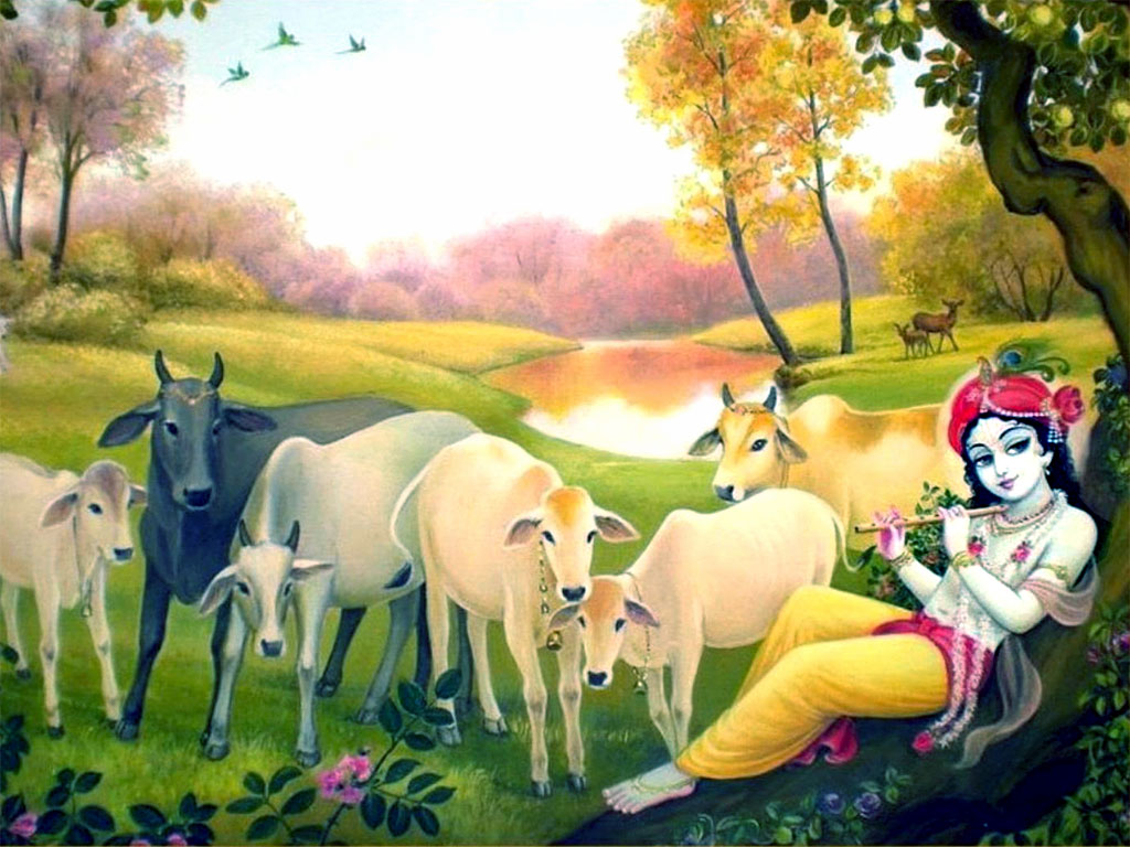 Lord Krishna With Cow Wallpapers