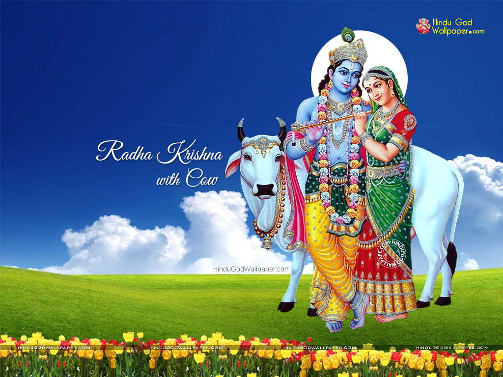 Radha Krishna with Cow