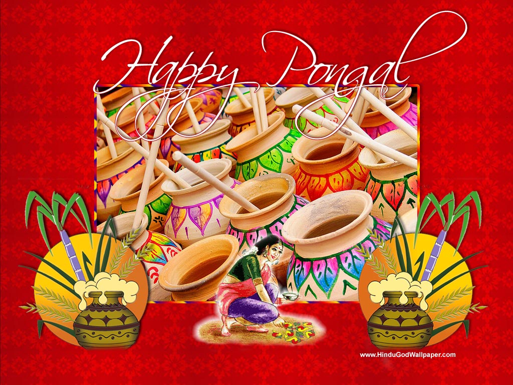 Pongal Festival Pictures Wallpapers Free Download