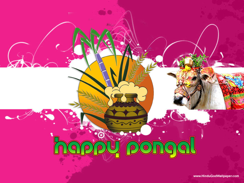 Pongal Greetings Wallpapers with Wishes Free Download