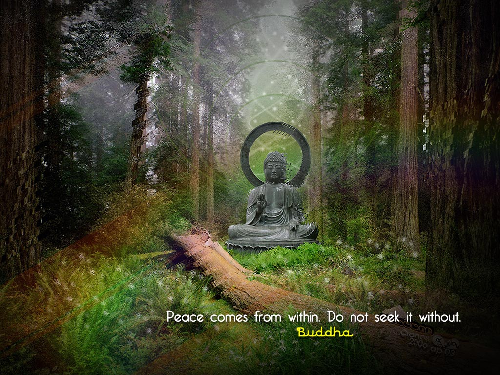 Buddha Wallpapers with Quotes Images HD Wallpaper Download