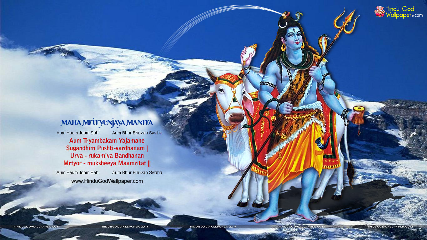 Maha Shivaratri HD Wallpaper - Happy Shivratri Wallpapers