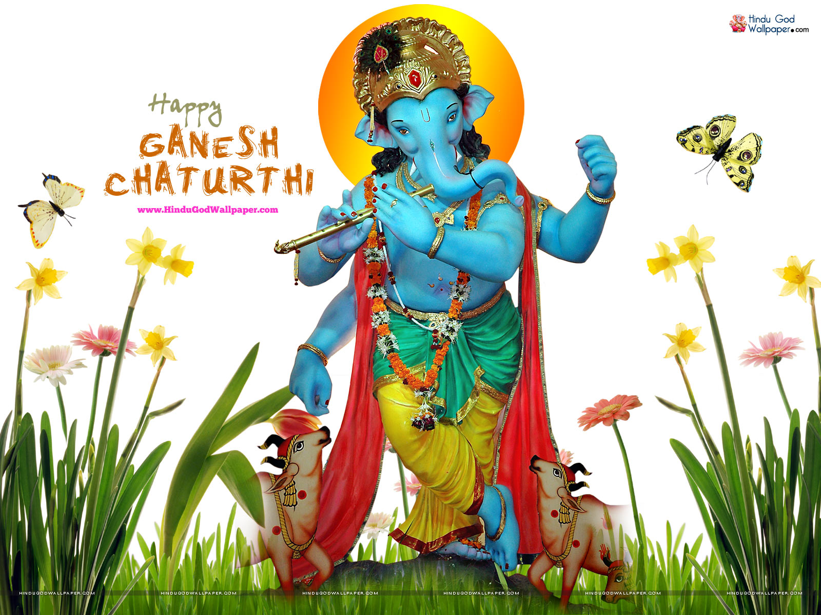 Ganesh Chaturthi Live HD Wallpapers Free Download