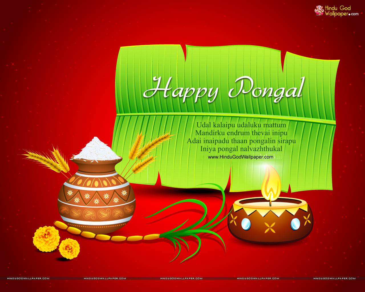 Pongal Wishes Wallpapers, Photos & Images Download