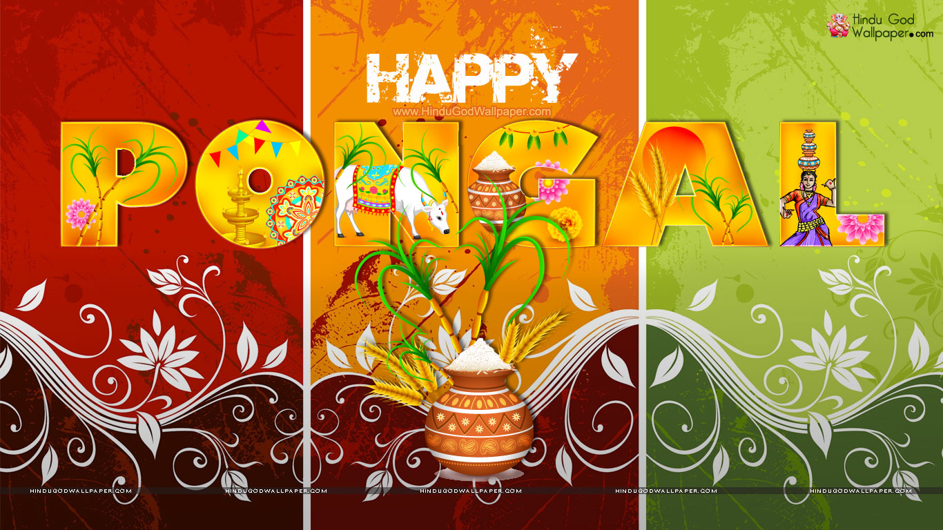 Happy Thai Pongal Wallpapers Free Download