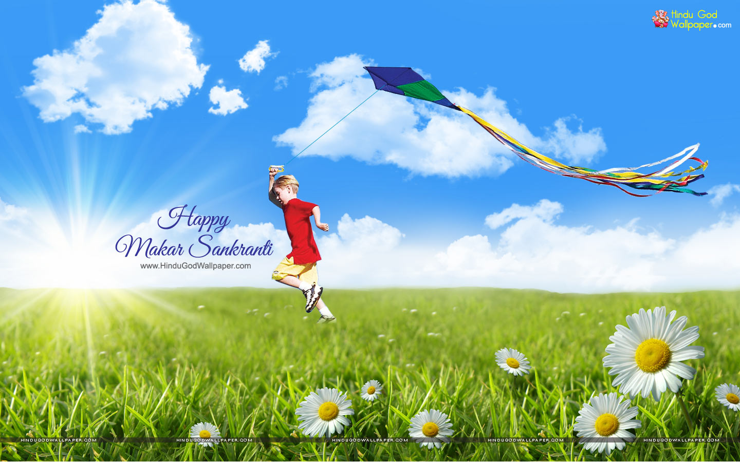 Happy Makar Sankranti HD Wallpapers Free Download