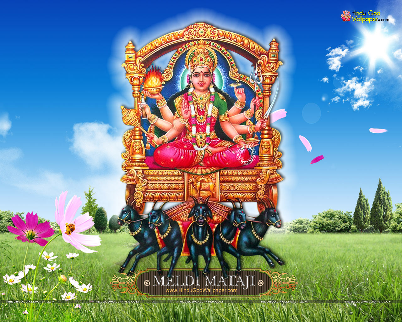 Meldi Maa Live Wallpaper & Photo Free Download