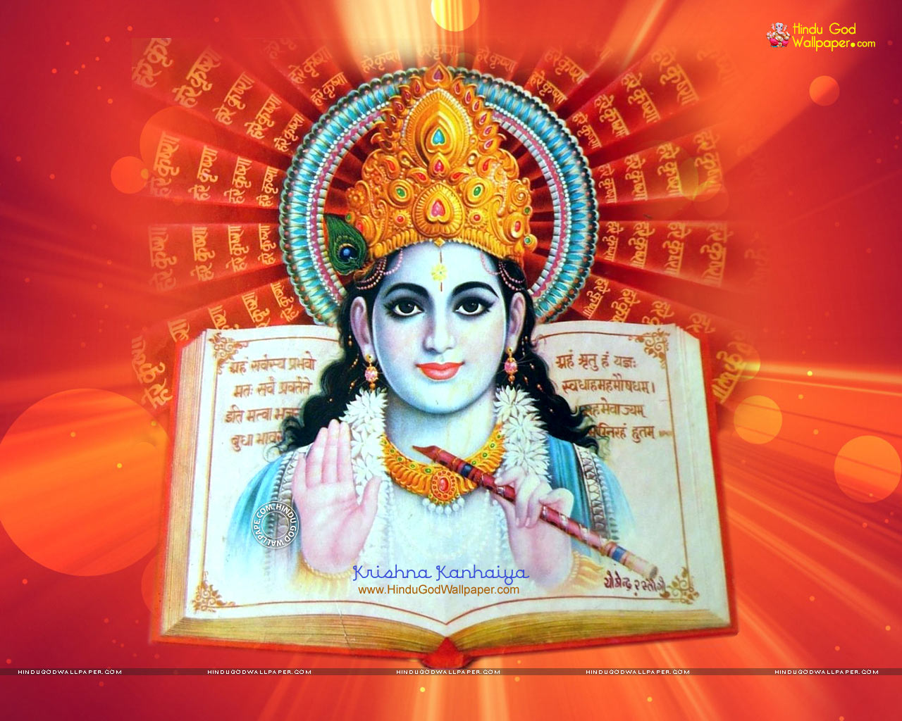Beautiful Krishna Kanhaiya HD Wallpaper Free Download