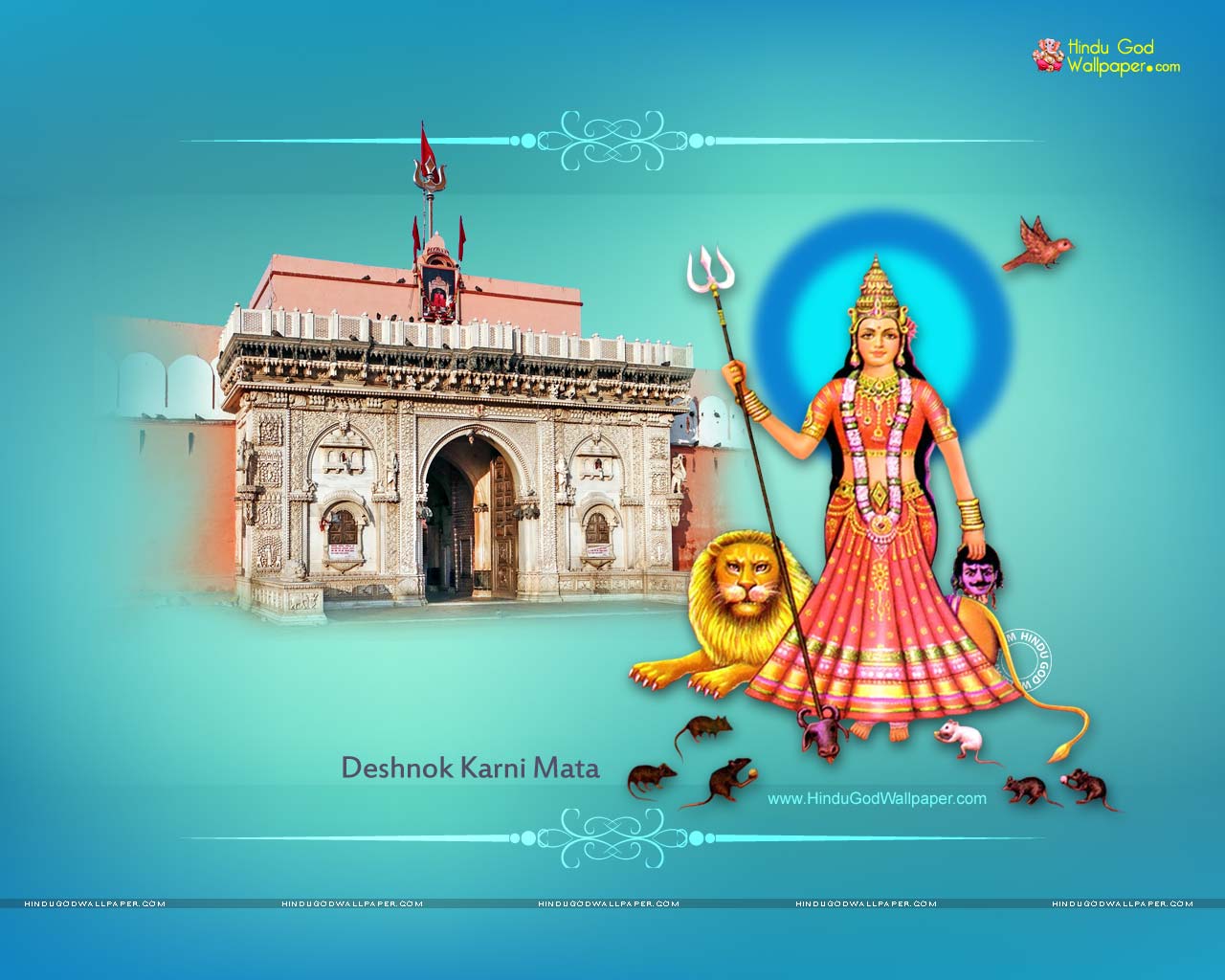 Deshnok Karni Mata Wallpapers, HD Images, Photos Download