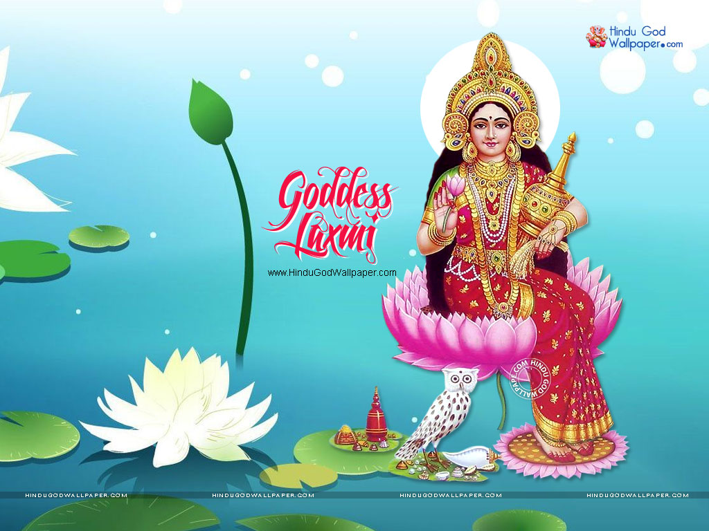 Goddess Laxmi Owl Wallpapers & Photos Free Download