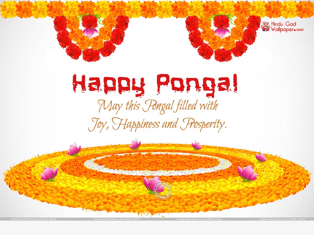 Happy Pongal Wallpapers HD Images & Festival Pictures Download