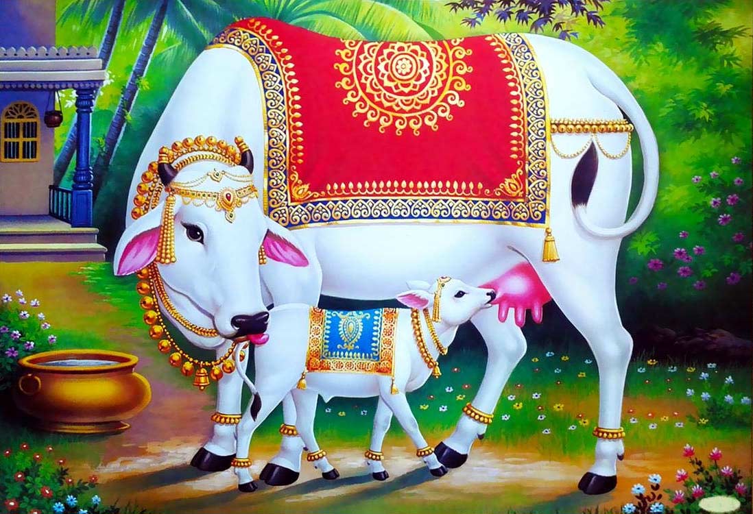 Gomata HD Wallpapers | Cow God HD Images & Photos Download