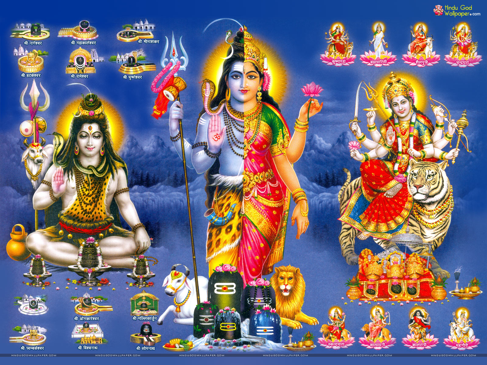 Ardhnarishwar Wallpaper - Lord Shiva Ardhnarishwar Wallpapers