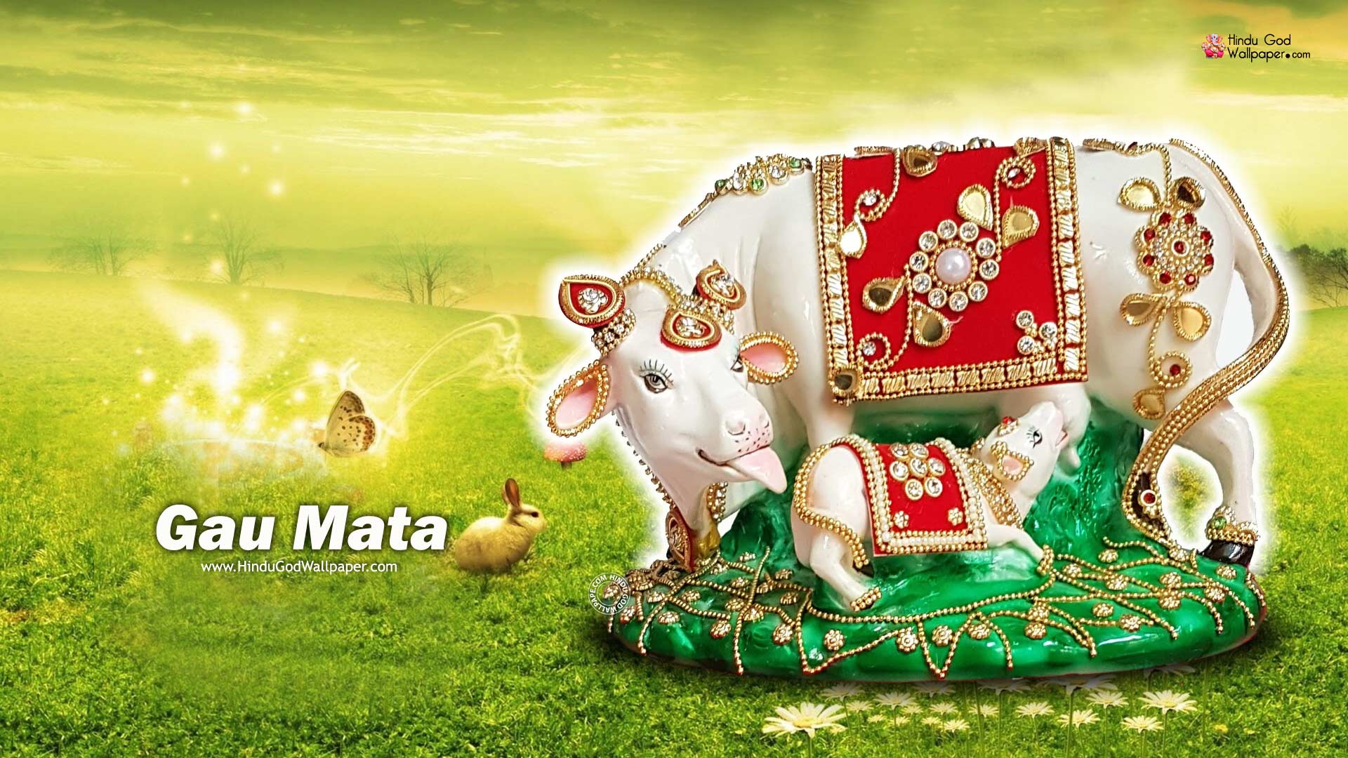Gau Mata Wallpapers HD Images, Photos Gallery Download 1080p