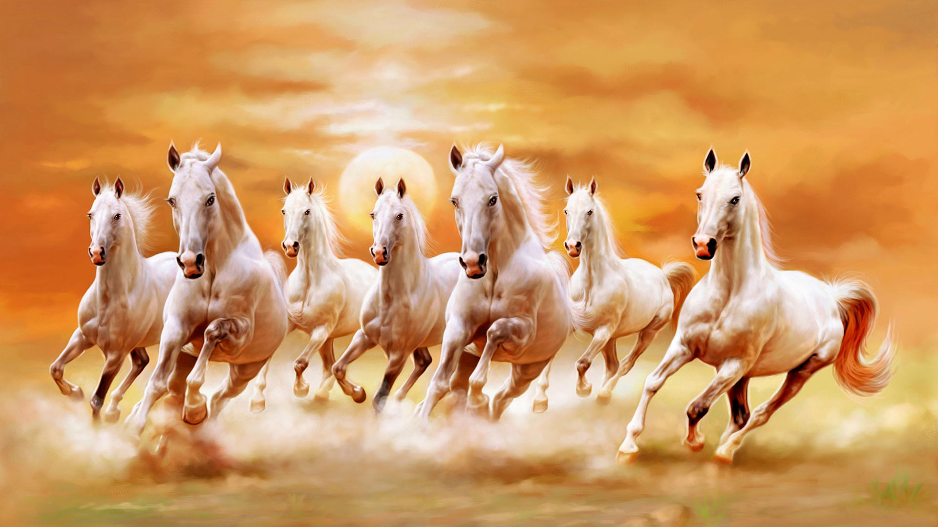 7 Horse HD Wallpapers 1920x1080