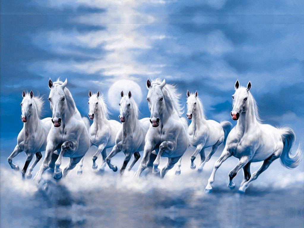 Seven Horses HD Wallpaper for Laptop Mobile Free Download